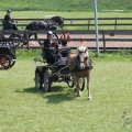 IMG_902388
