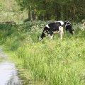 IMG_902451