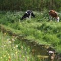 IMG_902457