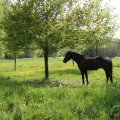 IMG_902467