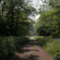 IMG_902473