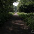 IMG_902475