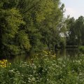 IMG_902479