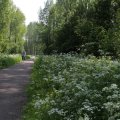 IMG_902486
