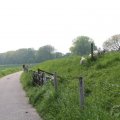 IMG_902523
