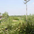 IMG_902544