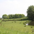IMG_902552