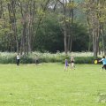 IMG_902598