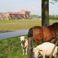 IMG_902648