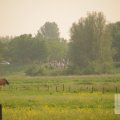 IMG_903146