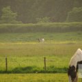 IMG_903149