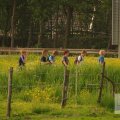 IMG_903174