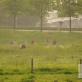 IMG_903178