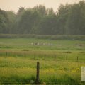 IMG_903314