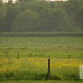 IMG_903315