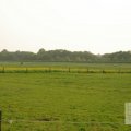 IMG_903338