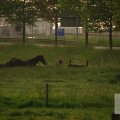 IMG_903358
