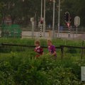 IMG_904266