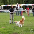 IMG_910036