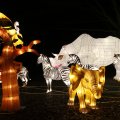 IMG_949024