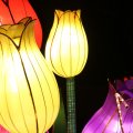 IMG_949060