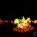 IMG_950003