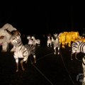 IMG_950048