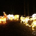 IMG_950064