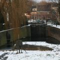 IMG_956504