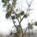 IMG_974703