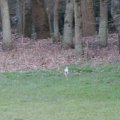 IMG_974736