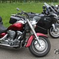 IMG_1012445