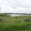 IMG_1009420