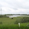 IMG_1009421