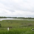 IMG_1009423
