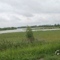 IMG_1009424
