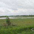 IMG_1009425