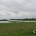 IMG_1009426