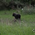 IMG_1009430