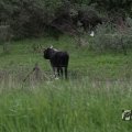 IMG_1009431