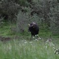 IMG_1009432