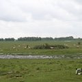 IMG_1009437