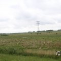 IMG_1009441