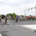 IMG_1011595