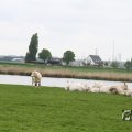 IMG_1011688