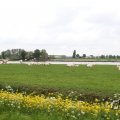 IMG_1011689