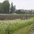 IMG_1011696