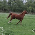 IMG_1011708