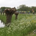 IMG_1011719