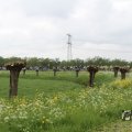 IMG_1011720